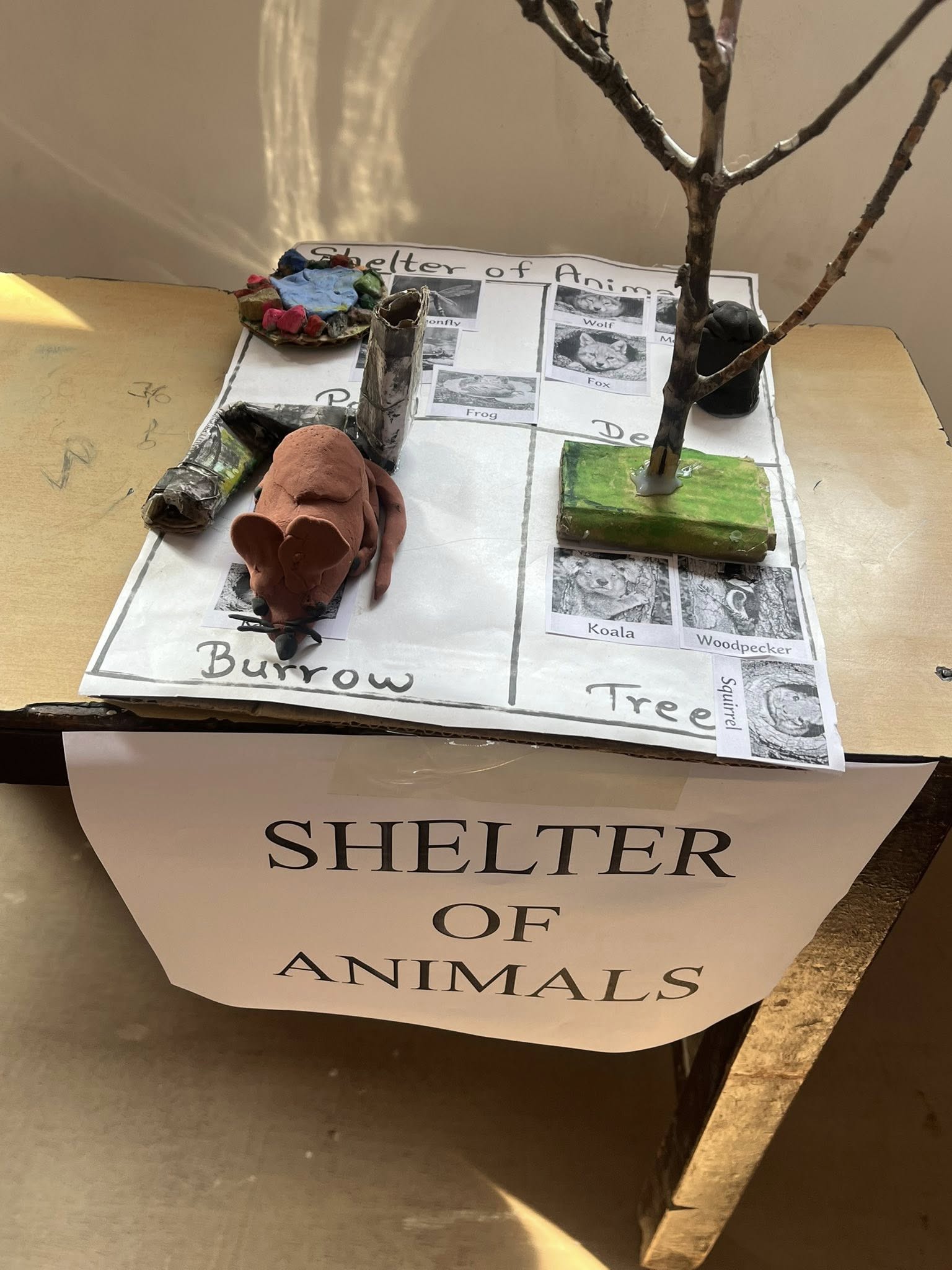 Shelter of Animals — Nawakunja student science project model